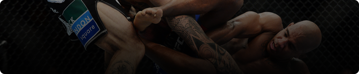 Mixed Martial Arts